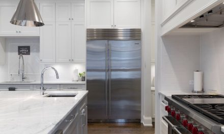 Find den ideelle køleskabsmodel