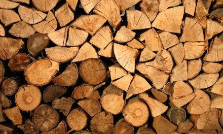 Opnå brændende varme med træbriketter