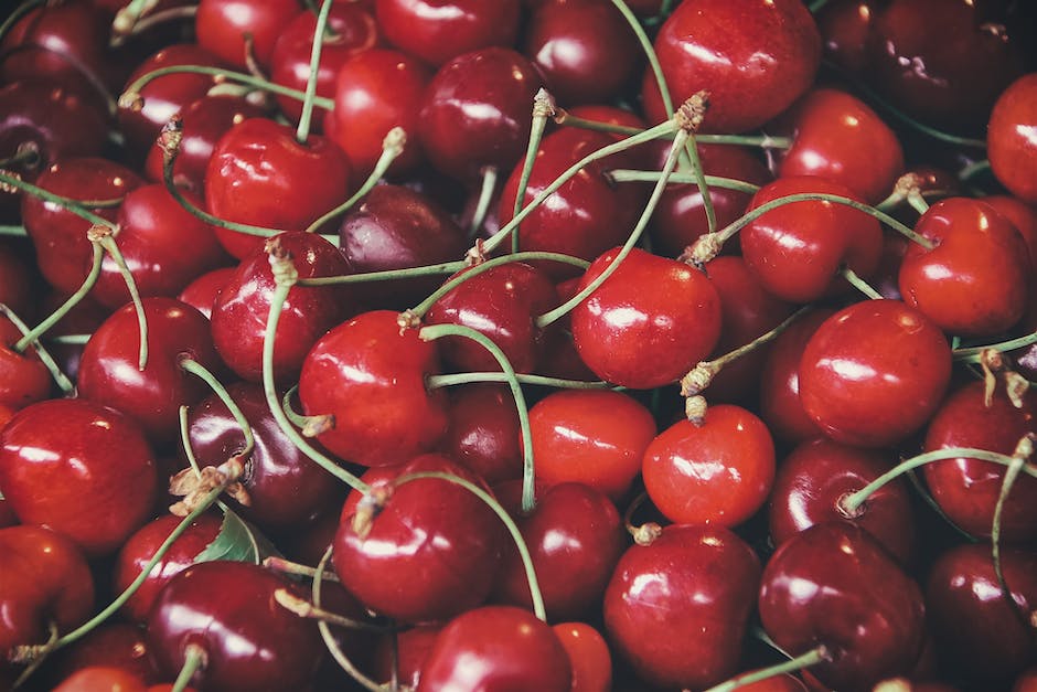 Få Kirsebær i Haven – Den Søde Frugtoplevelse