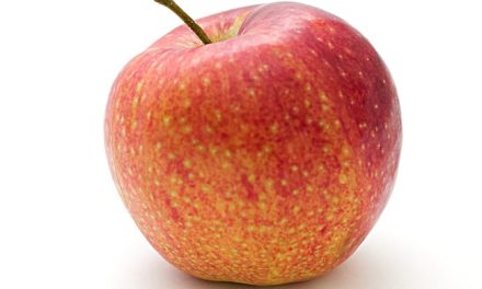 Alt om skræddersyet ekspertrådgivning om æbletræer
