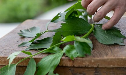 Kvalitetsprodukter med løvstikke – et must for enhver gourmet